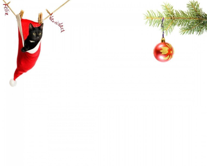 Black Cat in Santa Hat — Red