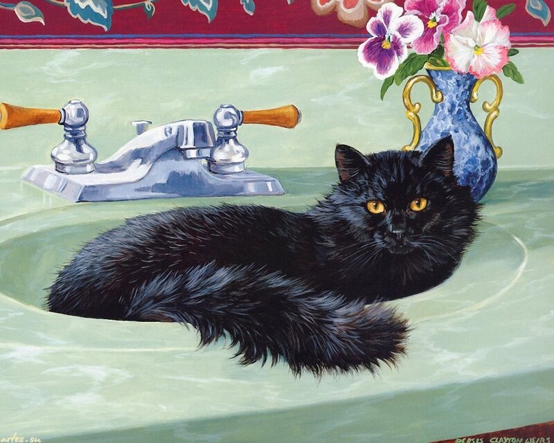 Black Cat in Sink — Green, Calm