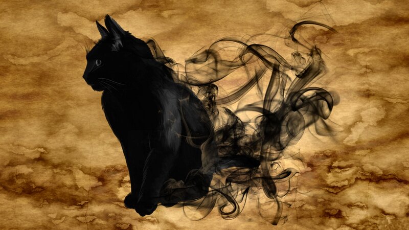 Black Cat in Smoke
