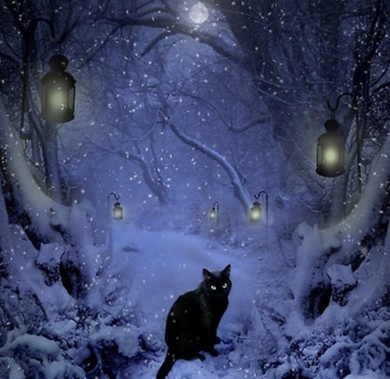 Black Cat in Snow — Blue