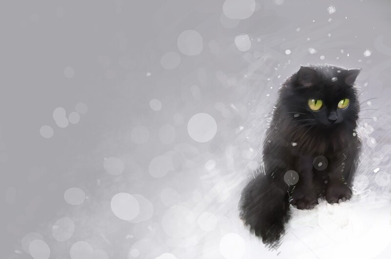 Black Cat in Snow — Calm, Winter
