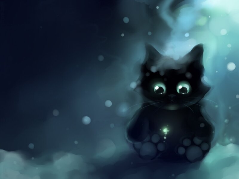 Black Cat in Snow — Mysterious