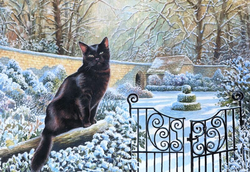 Black Cat in Snow — Serene