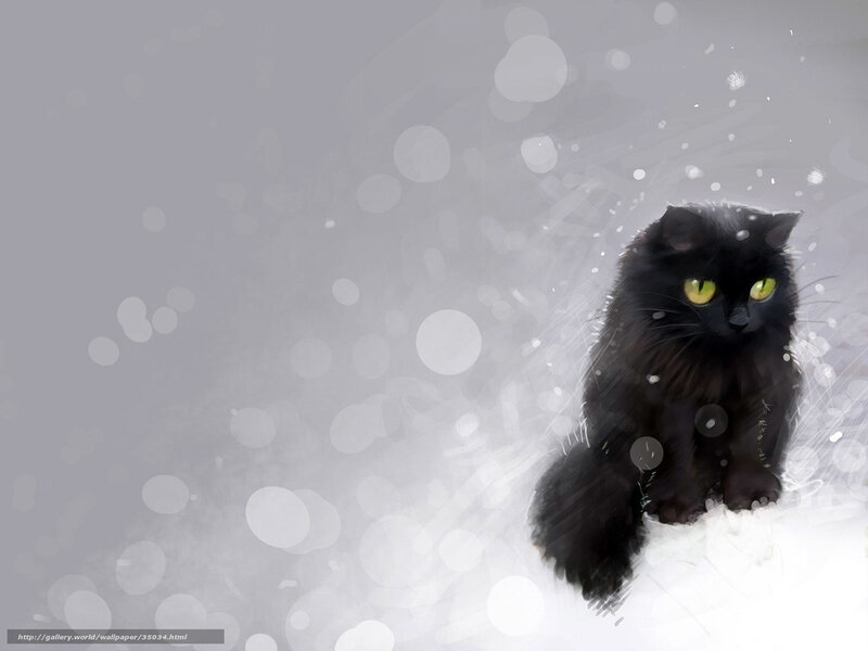 Black cat in snow