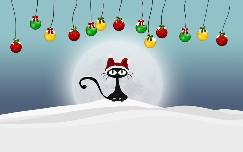 Black Cat in Snow — White, Festive, Night