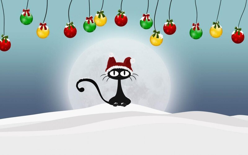 Black Cat in Snow — White, Festive