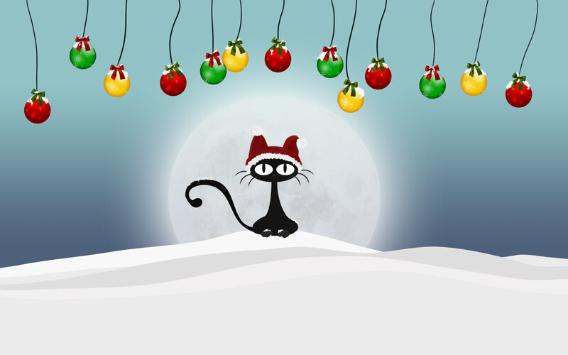 Black Cat in Snow — White