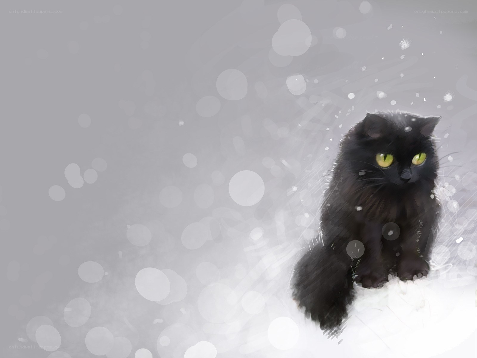 black cat in snowstorm