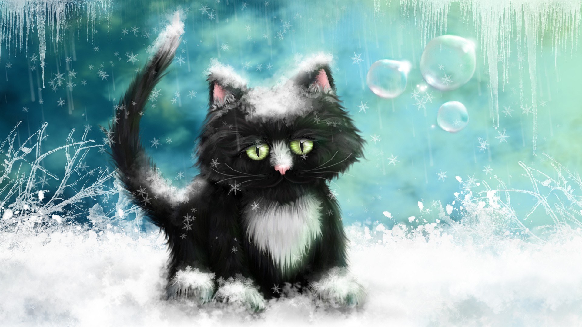 Black cat in snowy landscape