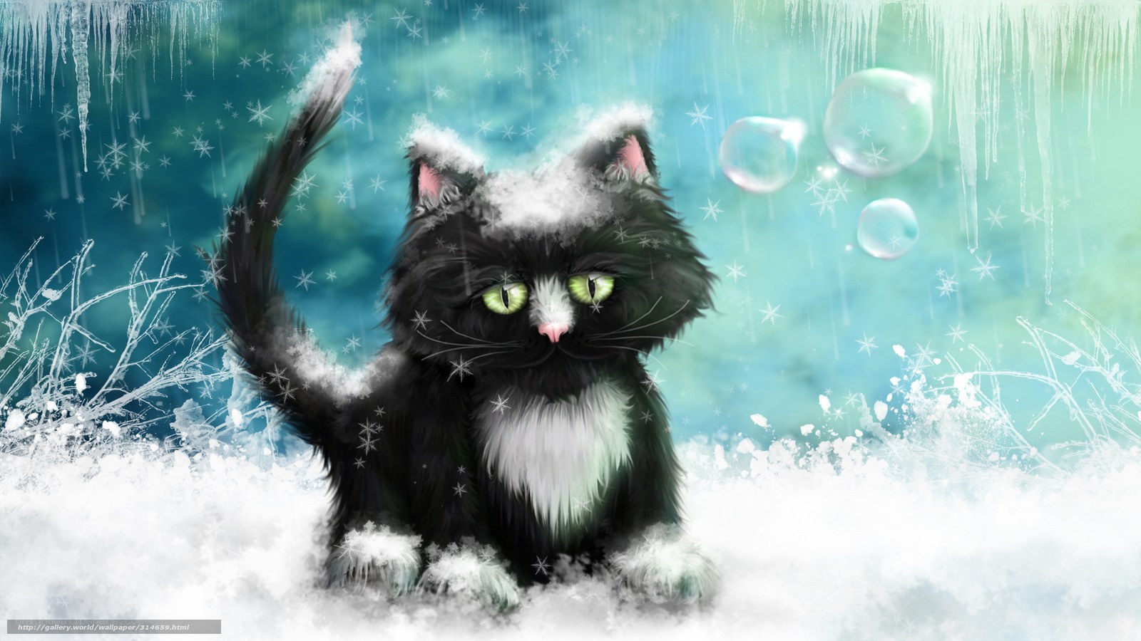 Black cat in snowy landscape