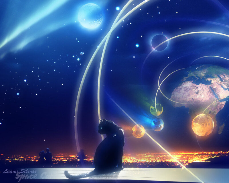 Black Cat in Space