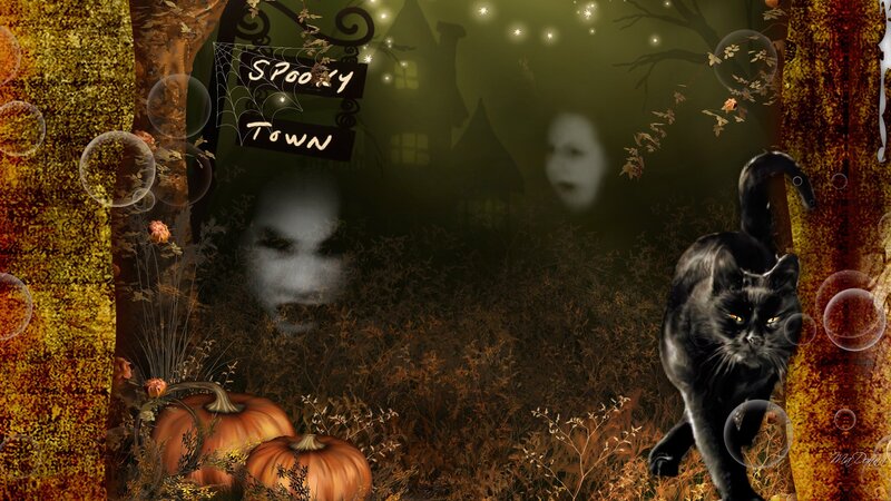 Black Cat in Spooky Forest
