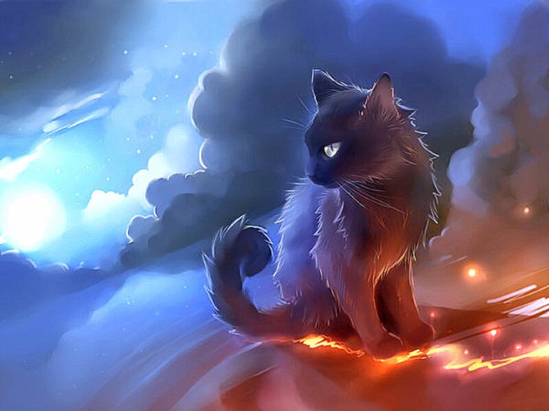 Black Cat in Storm