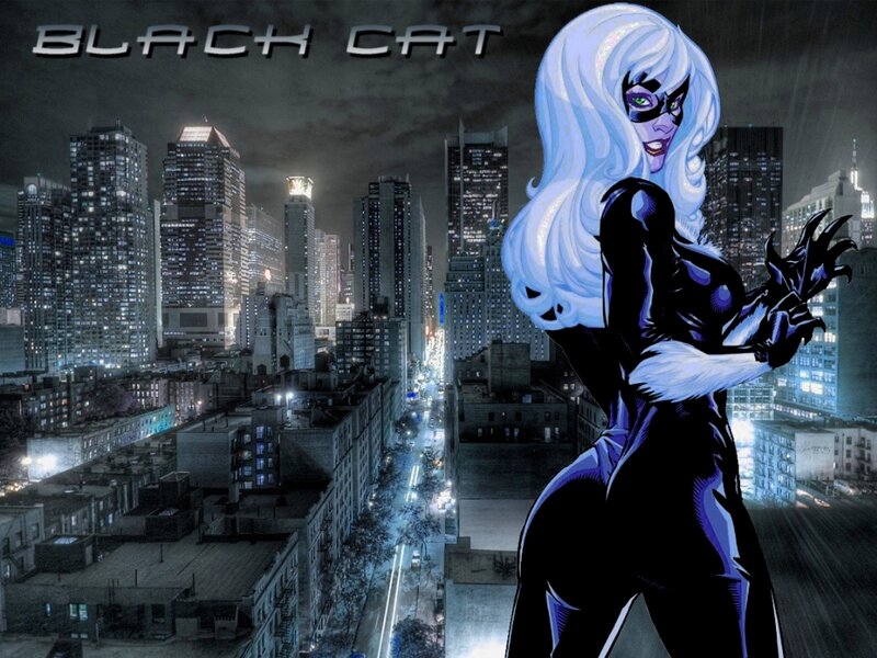 Black Cat in the city