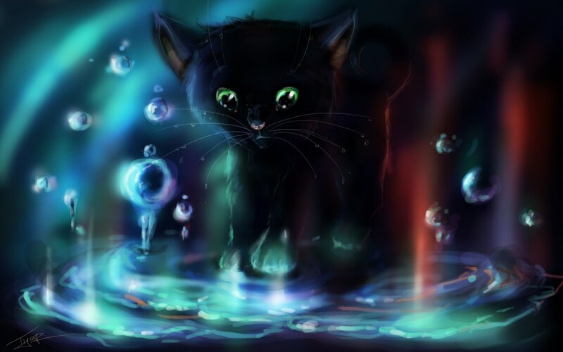 Black Cat in Water — Blue, Mystical