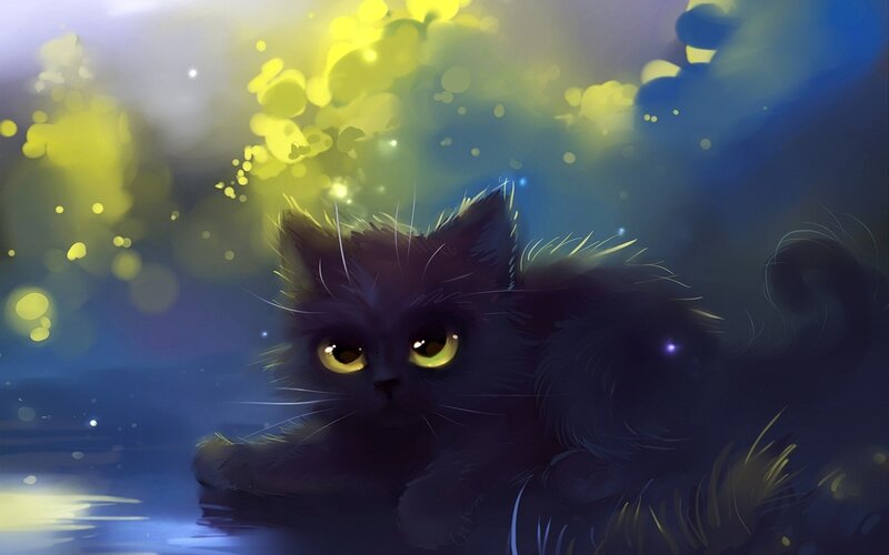 Black Cat in Water