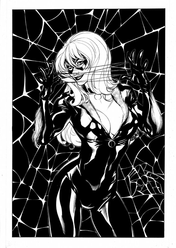 Black Cat in web