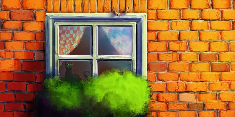 Black Cat in Window — Orange
