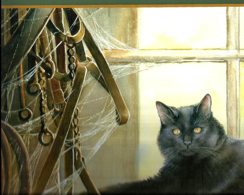 Black Cat in Window