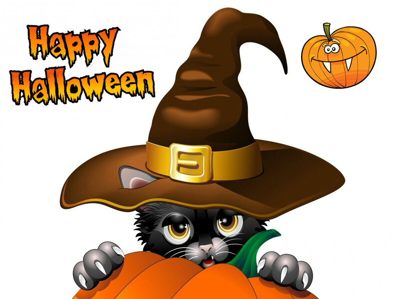 Black Cat in Witch Hat — Brown, Festive