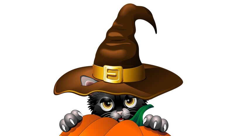 Black Cat in Witch Hat — Brown, Playful