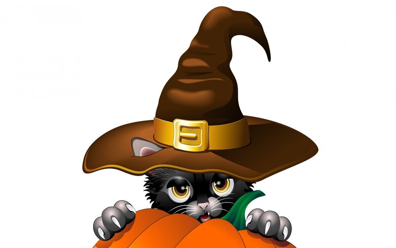 Black Cat in Witch Hat — Brown