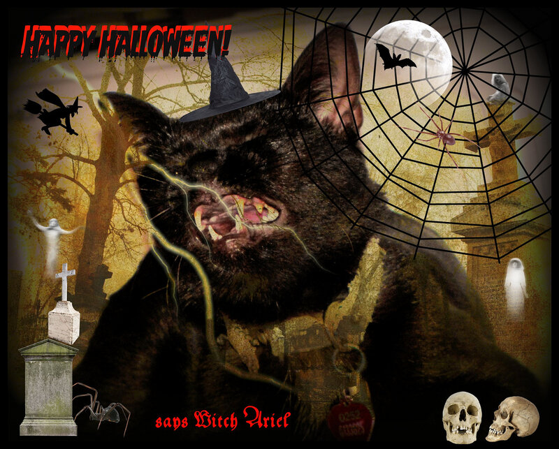 Black Cat in Witch Hat — Creepy