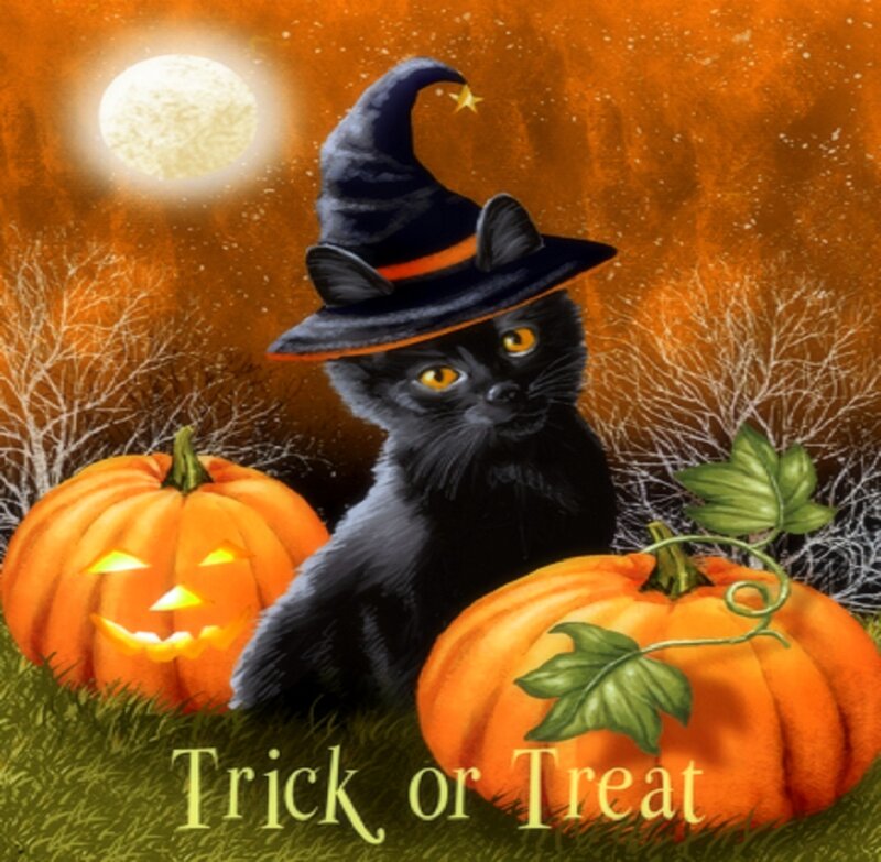 Black Cat in Witch Hat — Orange, Festive