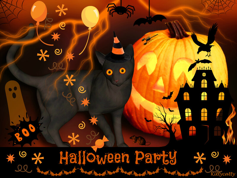 Black Cat in Witch Hat — Orange