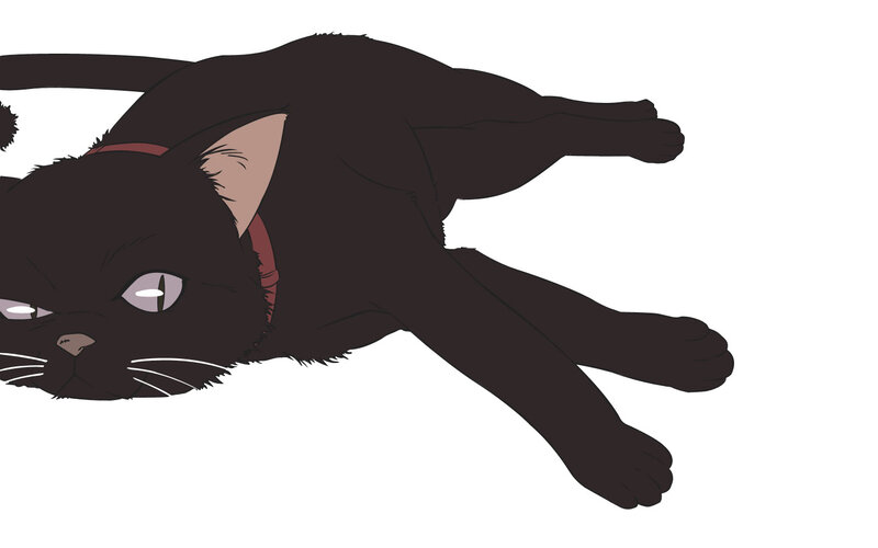 black cat lying down