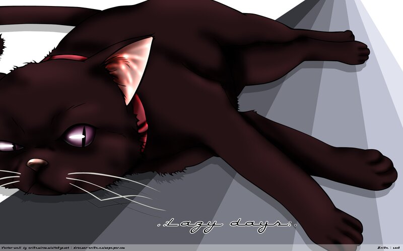 Black Cat Lying Down — Relaxed, Digital Art