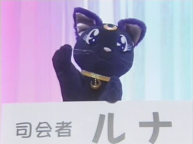 Black Cat Mascot