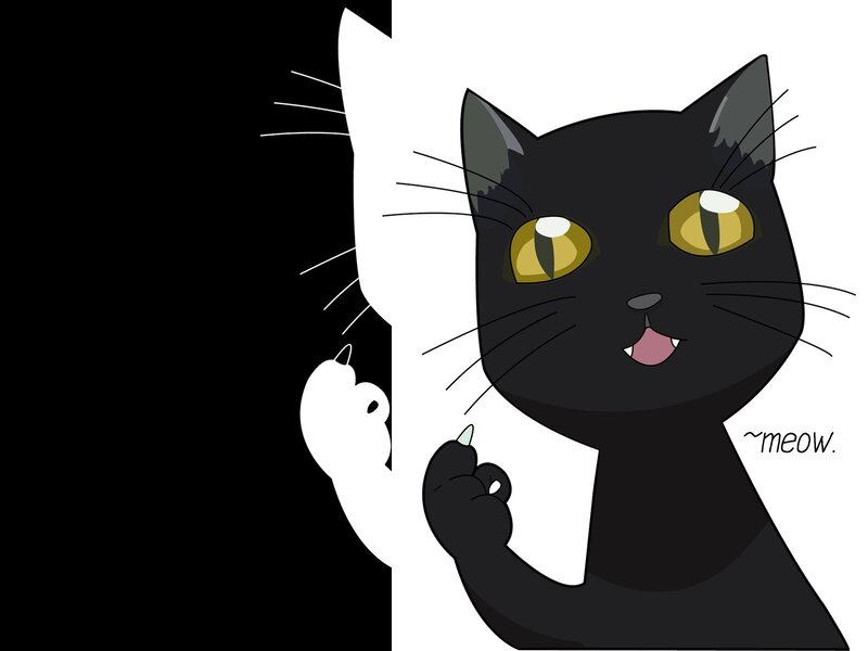 black cat meowing
