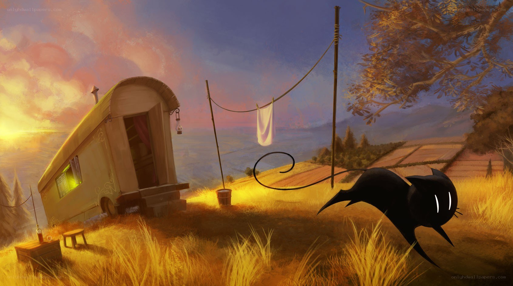 Black cat near caravan at sunset