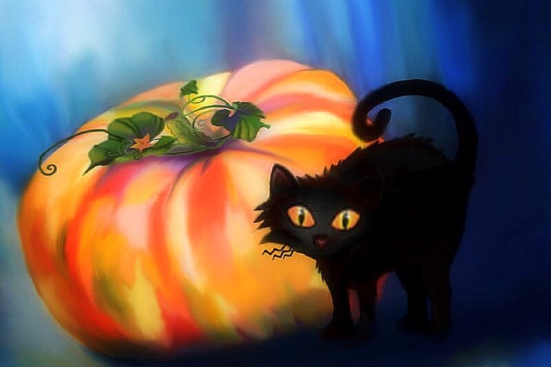 Black Cat Near Pumpkin