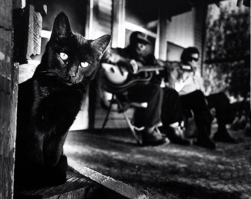 Black cat on a porch