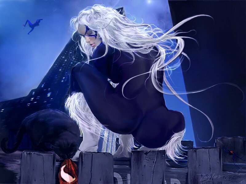 Black Cat on a rooftop