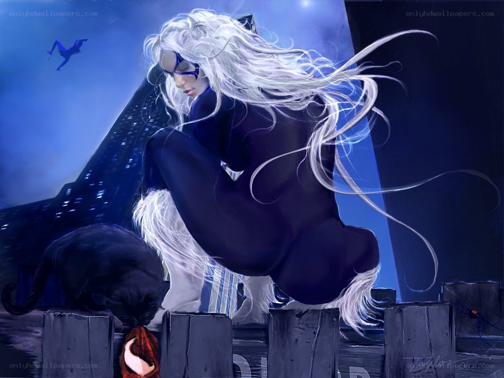Black Cat on a rooftop