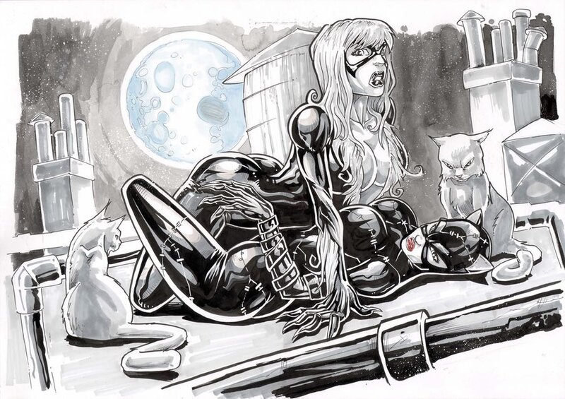 Black Cat on a rooftop