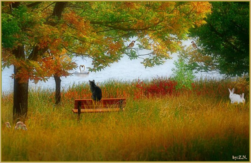 Black Cat on Bench — Green, Serene