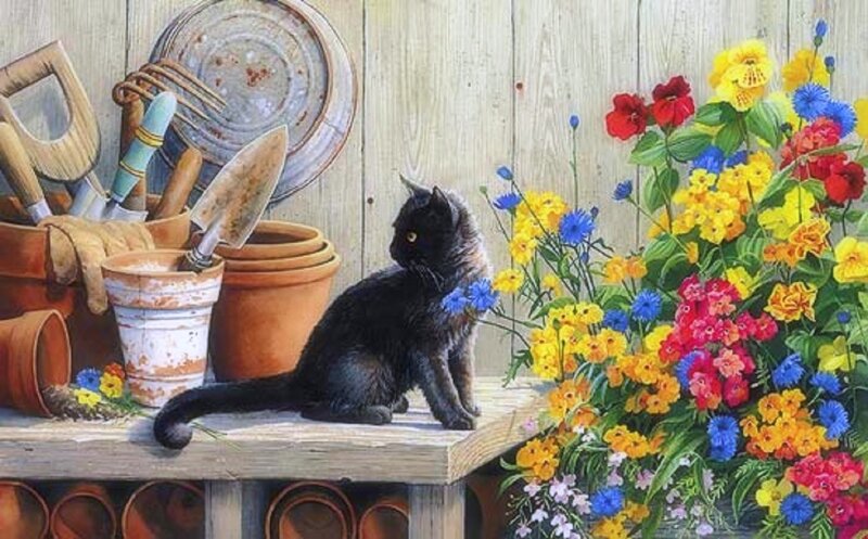 Black Cat on Bench — Yellow