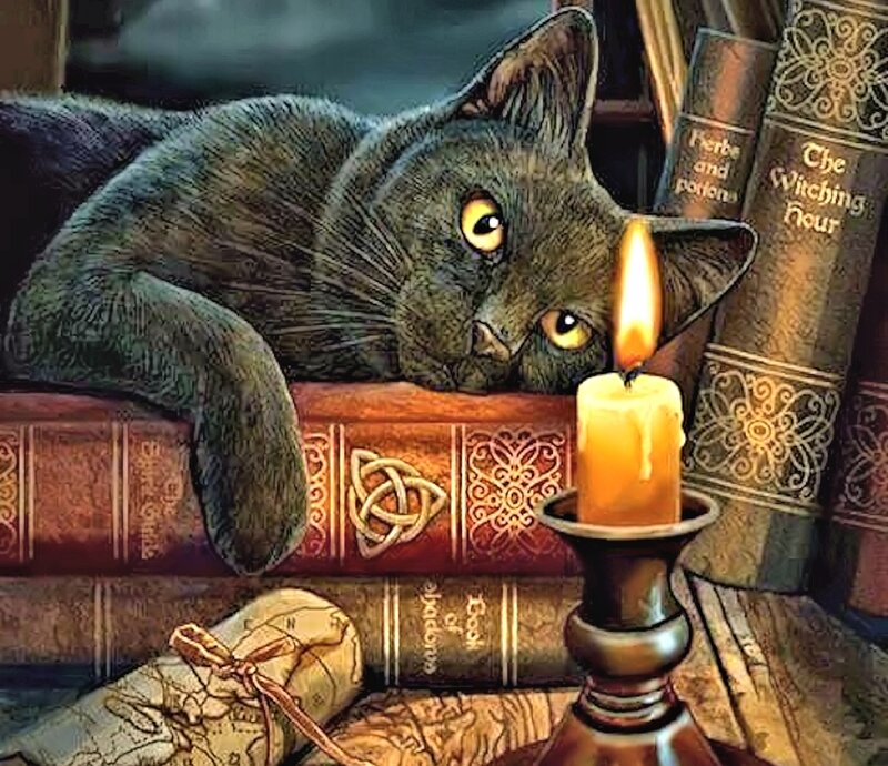 Black Cat on Books
