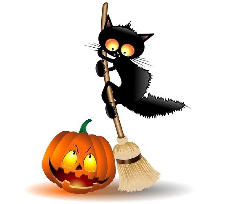 Black Cat on Broom — Orange