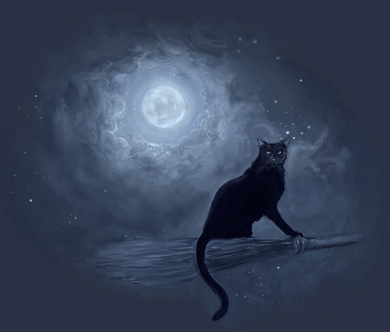 black cat on broom under moon