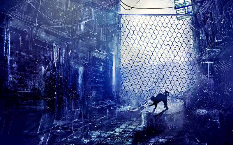 Black Cat on Crate
