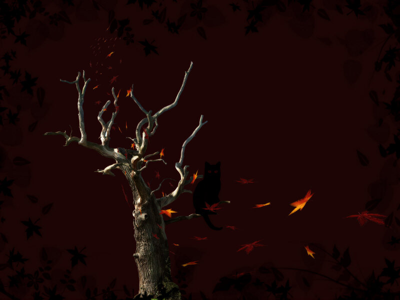 Black Cat on Dead Tree