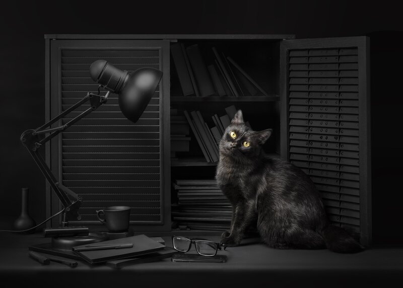 Black Cat on Desk — Dramatic