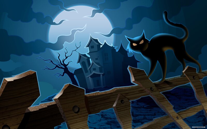 Black Cat on Fence — Blue, Creepy