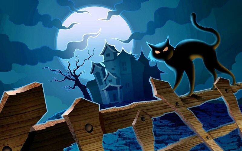 Black Cat on Fence — Blue