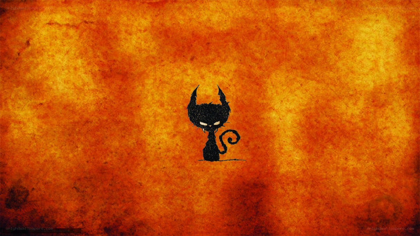 black cat on fiery background
